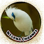 Kelana channel