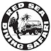 logo Red Sea Diving Safari