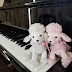 piano poodle