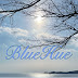 블루휴BlueHue