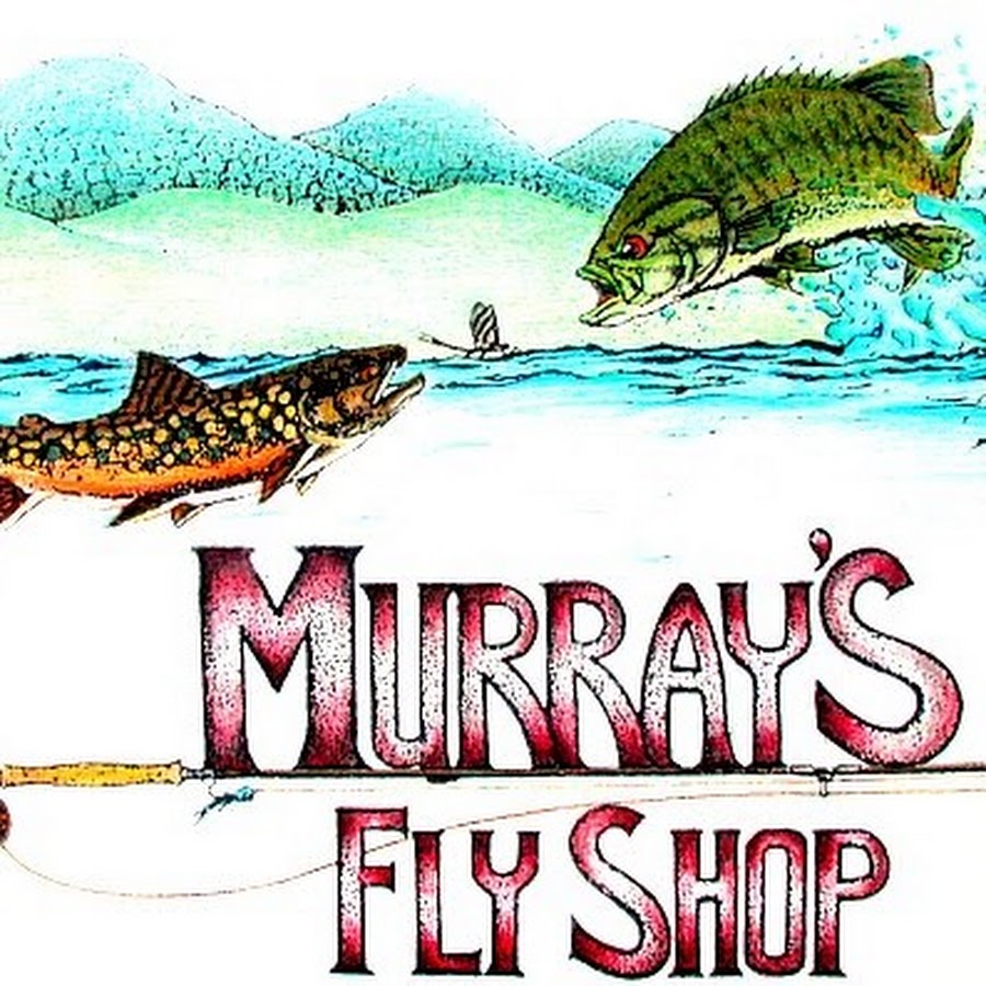 Fishing with Dragonflies by Harry Murray