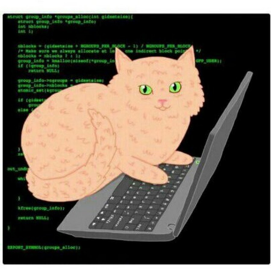 Cats hack. Кот программист. Кошка хакер. Коты программисты. Кот Компьютерщик.