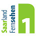 logo Saarland Fernsehen