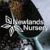 logo Newlands Nursery & Buy Plants