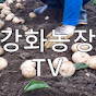 강화농장TV