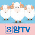 3양TV