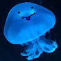 Jiggly Jellyfish