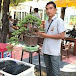 Korat. Bonsai. Farm. Kbf ผช.เขียว โคราช