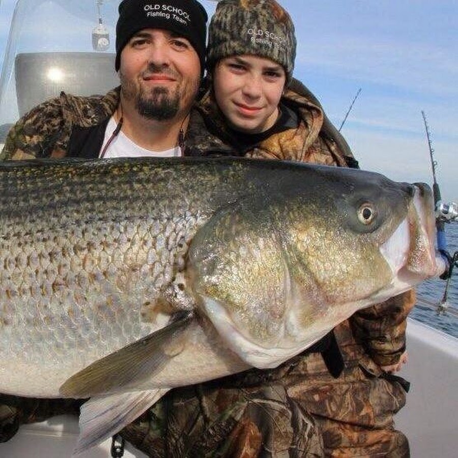 Team Old School catch world record bass using Smith rod holders #stripers # stripedbass #sportfishing #cesmtihco