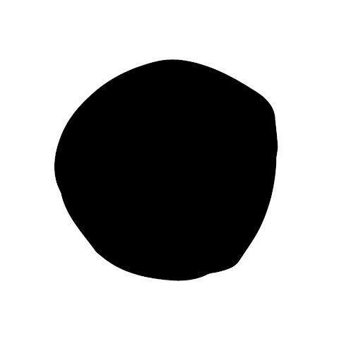 photo du profil de l'influenceur