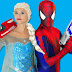 logo Elsa & Spiderman