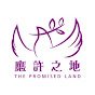 應許之地The Promised Land