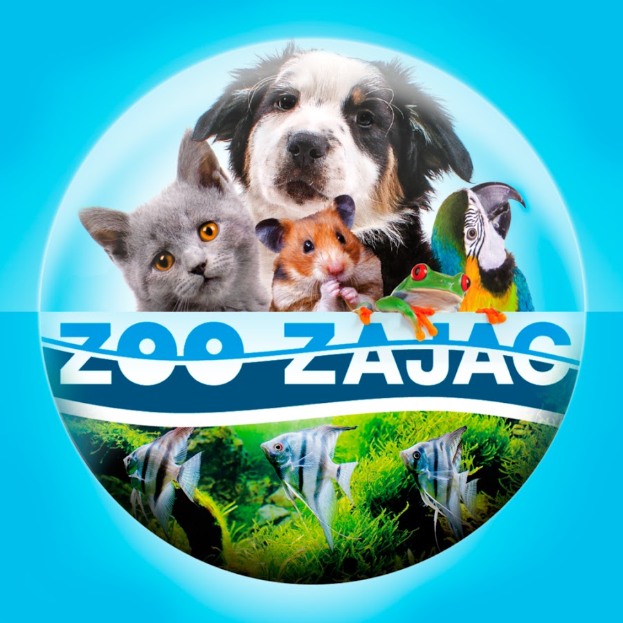 Zoo Zajac @zoo_zajac