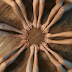 logo Worlds Prettiest Feet