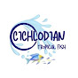 Cichlodian