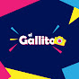 Gallito Bolivia