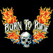 Born To Ride - Motorcycle Media