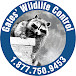 Gates Wildlife Control