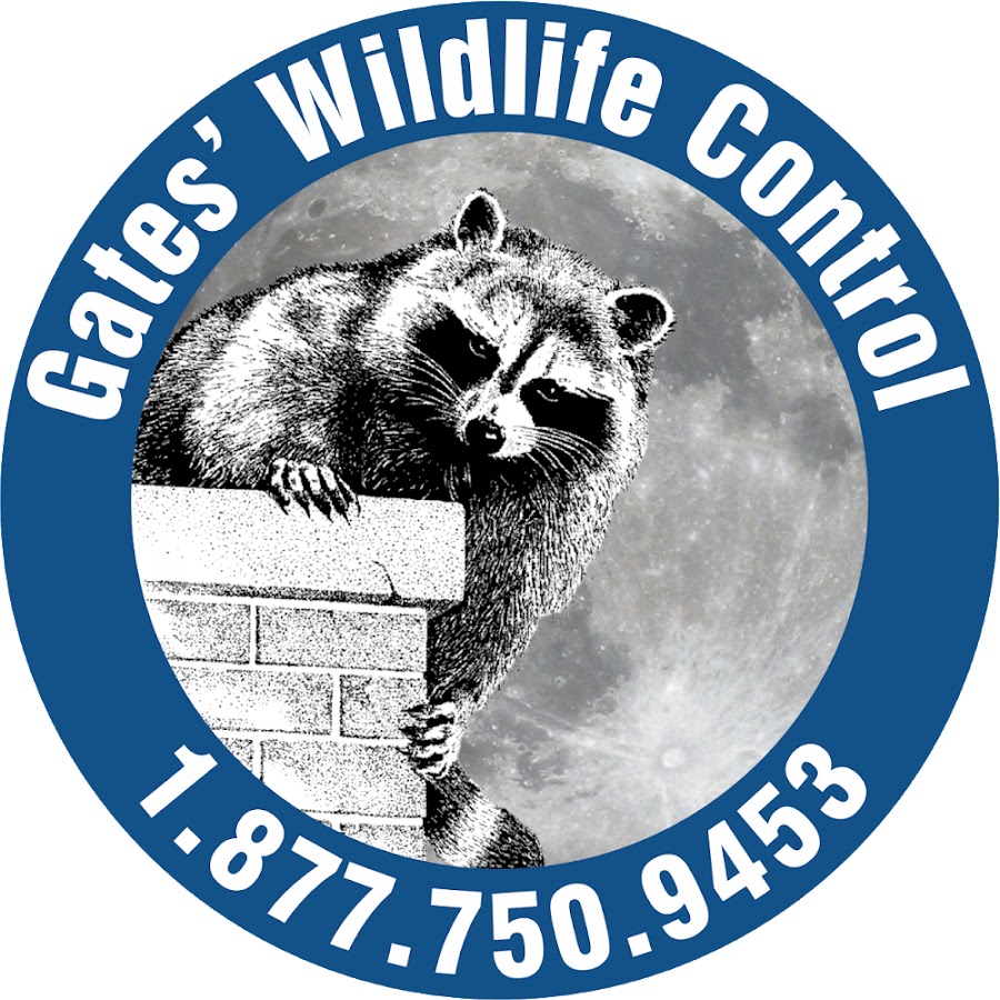 Gates Wildlife Control @gateswildlife