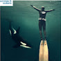 Pierre ROBERT de LATOUR (The Orca Whisperer)