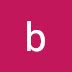 logo benpetrofsky