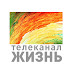 logo Телеканал ЖИЗНЬ
