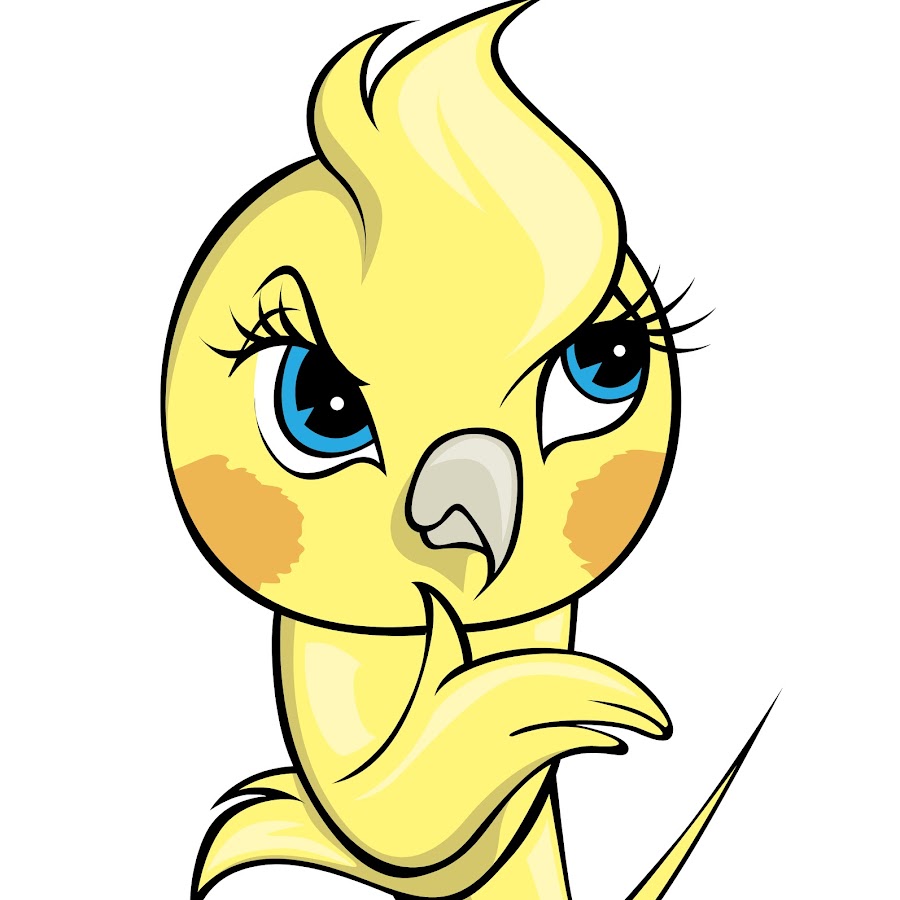 cockatiel-a-z-youtube