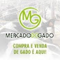 Portal Mercado do Gado.