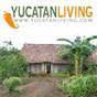 yucatanliving