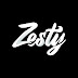 logo ZestySolutions