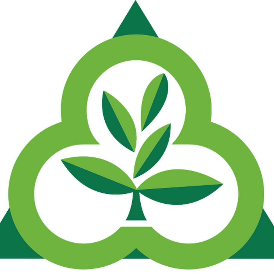 Holy trinity parish school louisville youtube