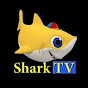 Shark TV