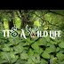 logo It's A Wild Life