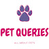 Pet Queries–BIRDS