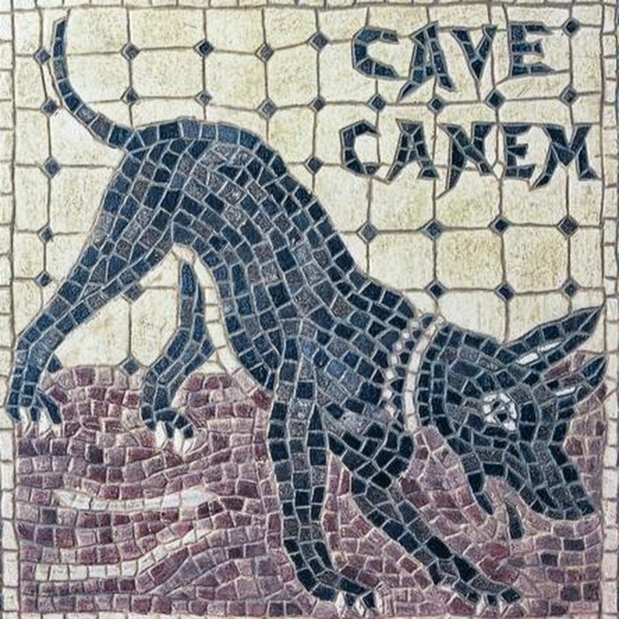 Cave canem фф. Cave Canem Римская мозаика. Мозаика Cave Canem из Помпей. Помпеи мозаика собака. Римская мозайка Помпеи.