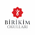 Birikim Okulları