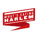 What's Eating Harlem