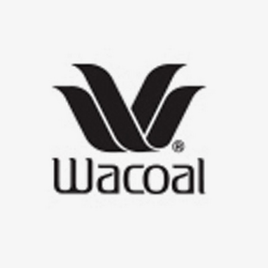 Wacoal Visual Effects 1 Inch Minimizer Bra - Soma