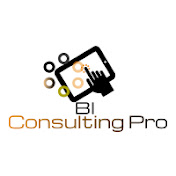BI Consulting Pro