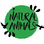 Natural Animals