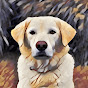 GeoBeats Animals youtube avatar