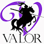 Valor Mold Removal