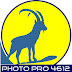 logo Photo Pro 4612