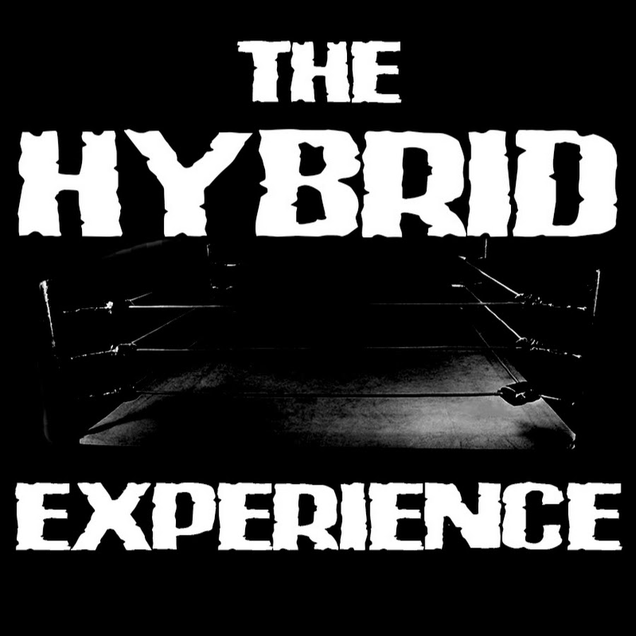 Hybrid School Of Wrestling
