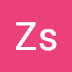 logo Zsa Zsaa