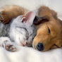 Relax Sleepy Time Lullaby Music