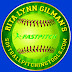 Rita Lynn Gilman's Softball Pitching Tools