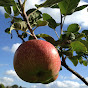 Obstgarten Rosenweide