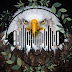 logo WHITE EAGLE MUSIC