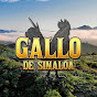 Gallo de Sinaloa Music